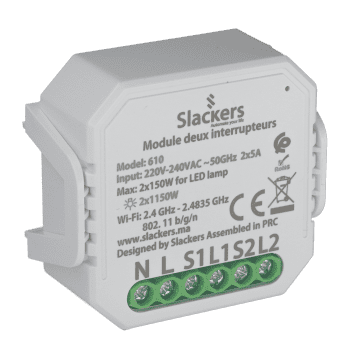 Slackers Module 2 interrupteur Copy Copy